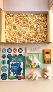 Dinosaur Activity Box